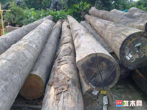 批木网 anywood.com
