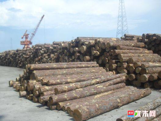 批木网 anywood.com