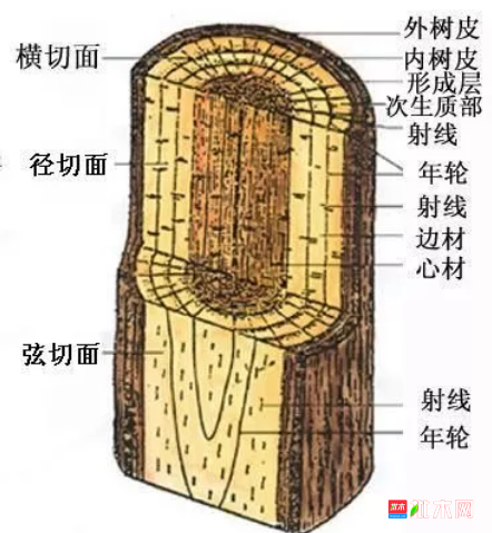 批木网 anywood.com
