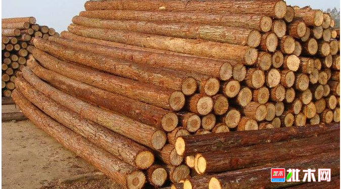 批木网 anywood.com