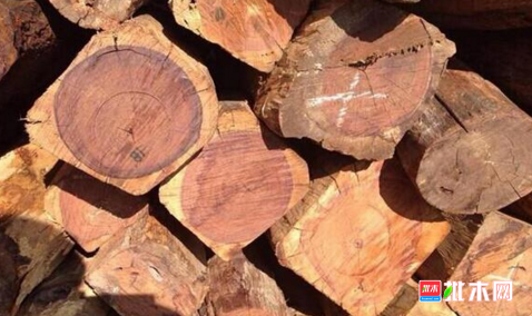 批木网 anywood.com