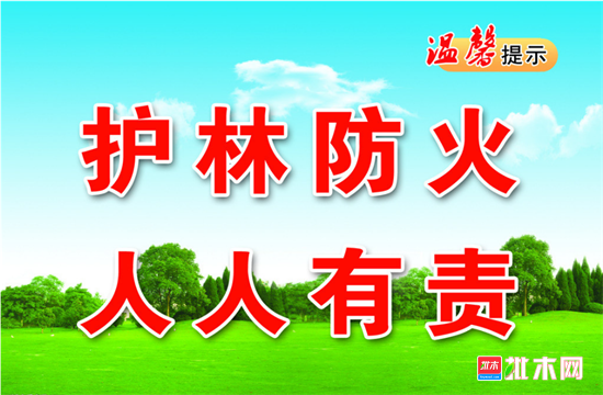 批木网anywood.com