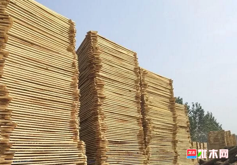 批木网 anywood.com