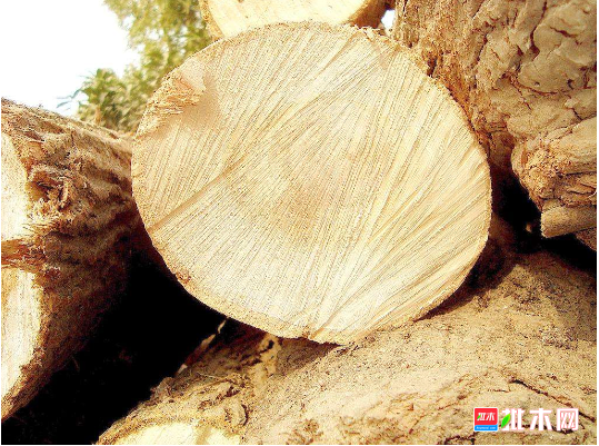 批木网 anywood.com