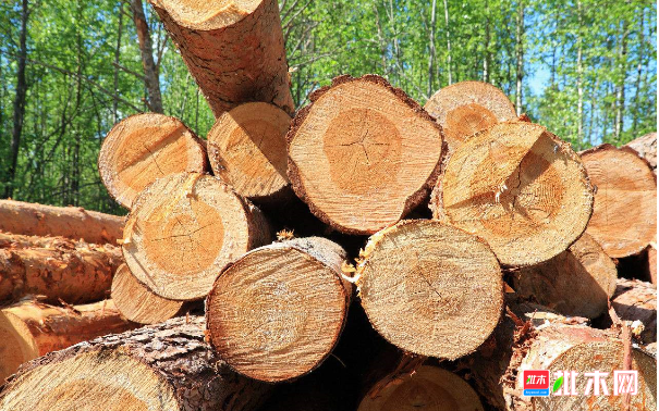 批木网 anywood.com