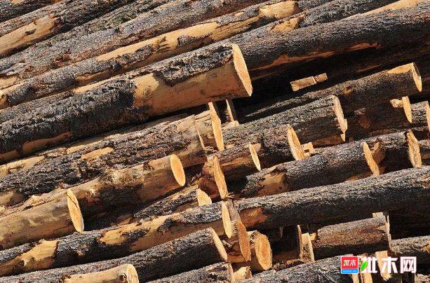 批木网 anywood.com