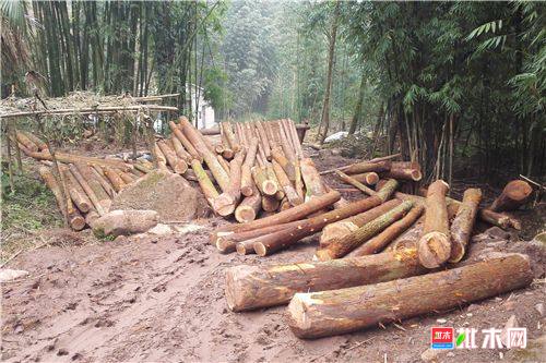 批木网anywood.com
