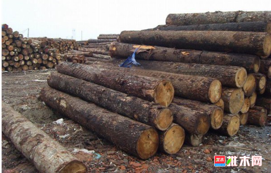 港港南区首个税收收入超亿元的木材加工行业开