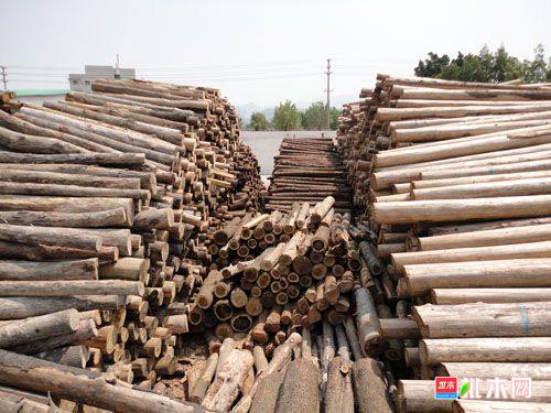 批木网anywood.com