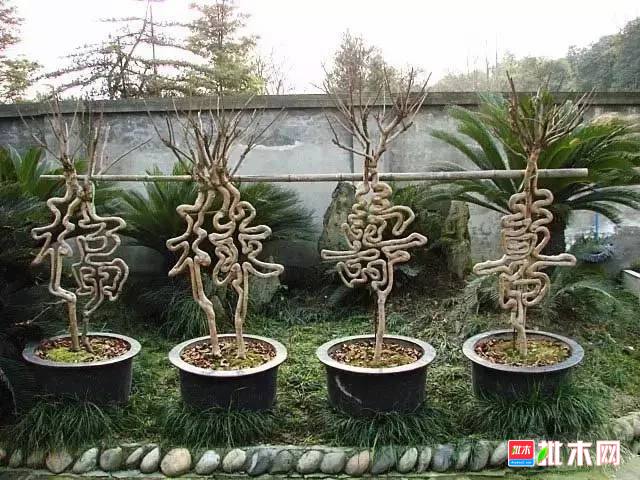 批木网anywood.com