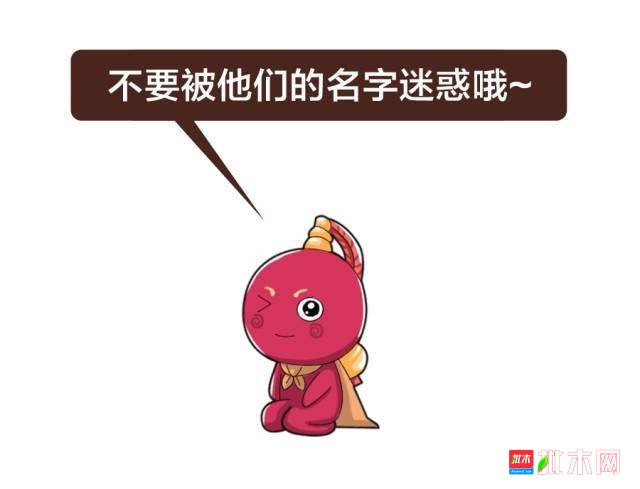批木网anywood.com