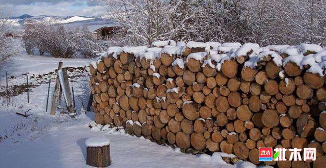 批木网anywood.com