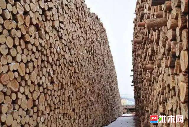批木网anywood.com