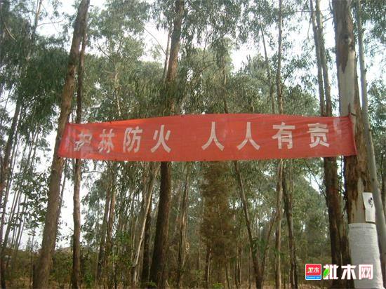 批木网anywood.com