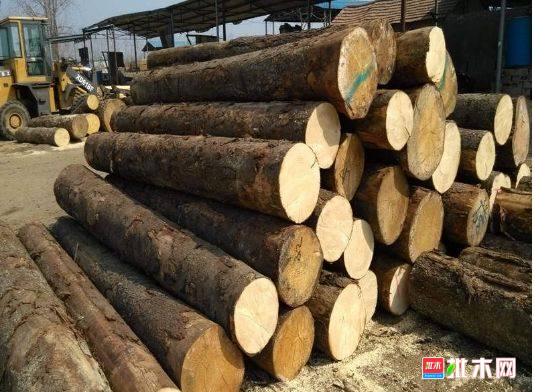 批木网 anywood.com