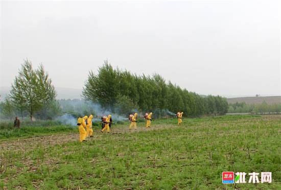 批木网anywood.com