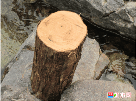 批木网 anywood.com