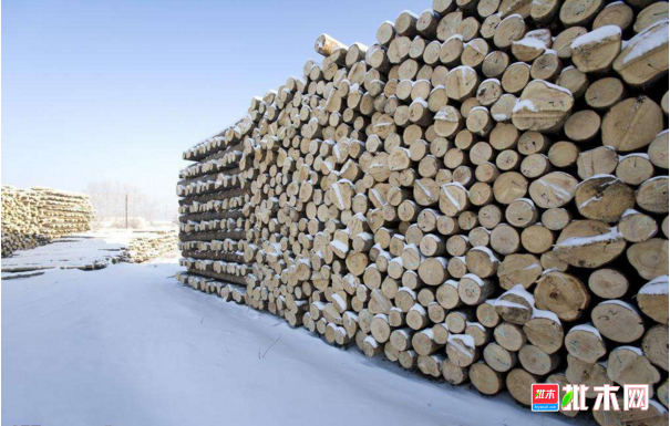 批木网 anywood.com
