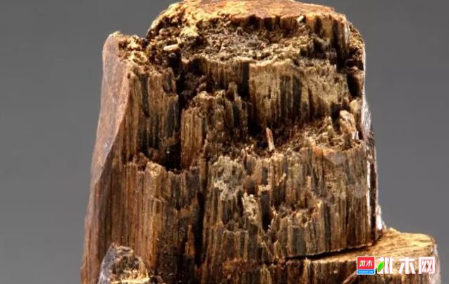 批木网 anywood.com