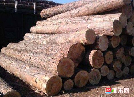 批木网 anywood.com