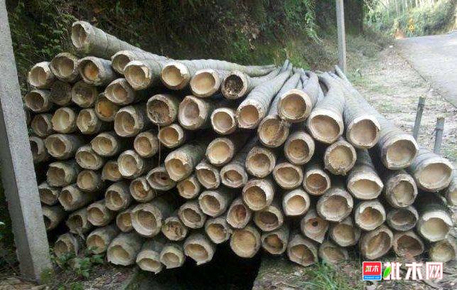 批木网 anywood.com