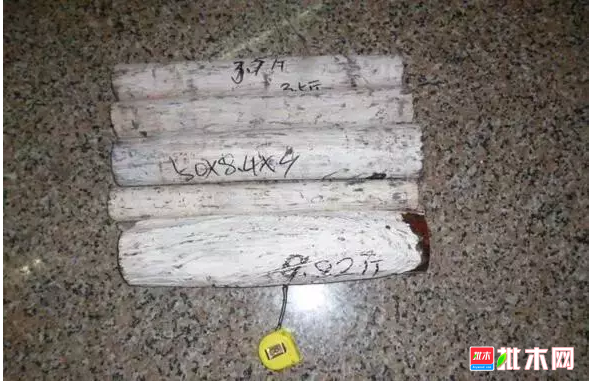 批木网 anywood.com