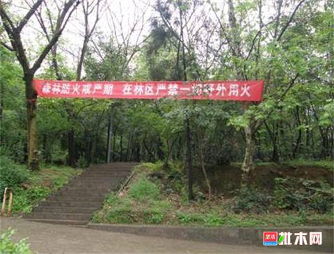 批木网anywood.com