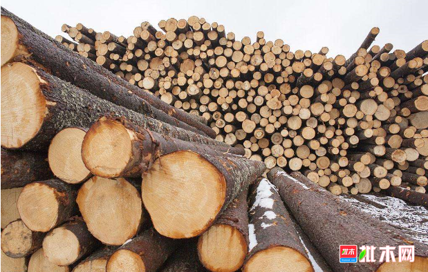 批木网 anywood.com