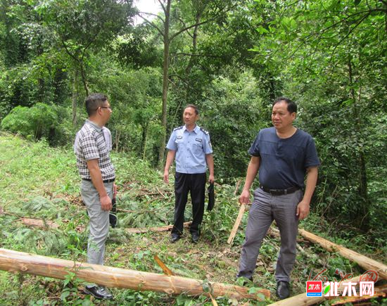 批木网anywood.com