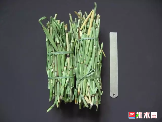批木网 anywood.com