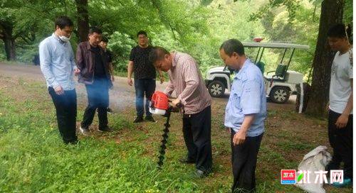 批木网anywood.com