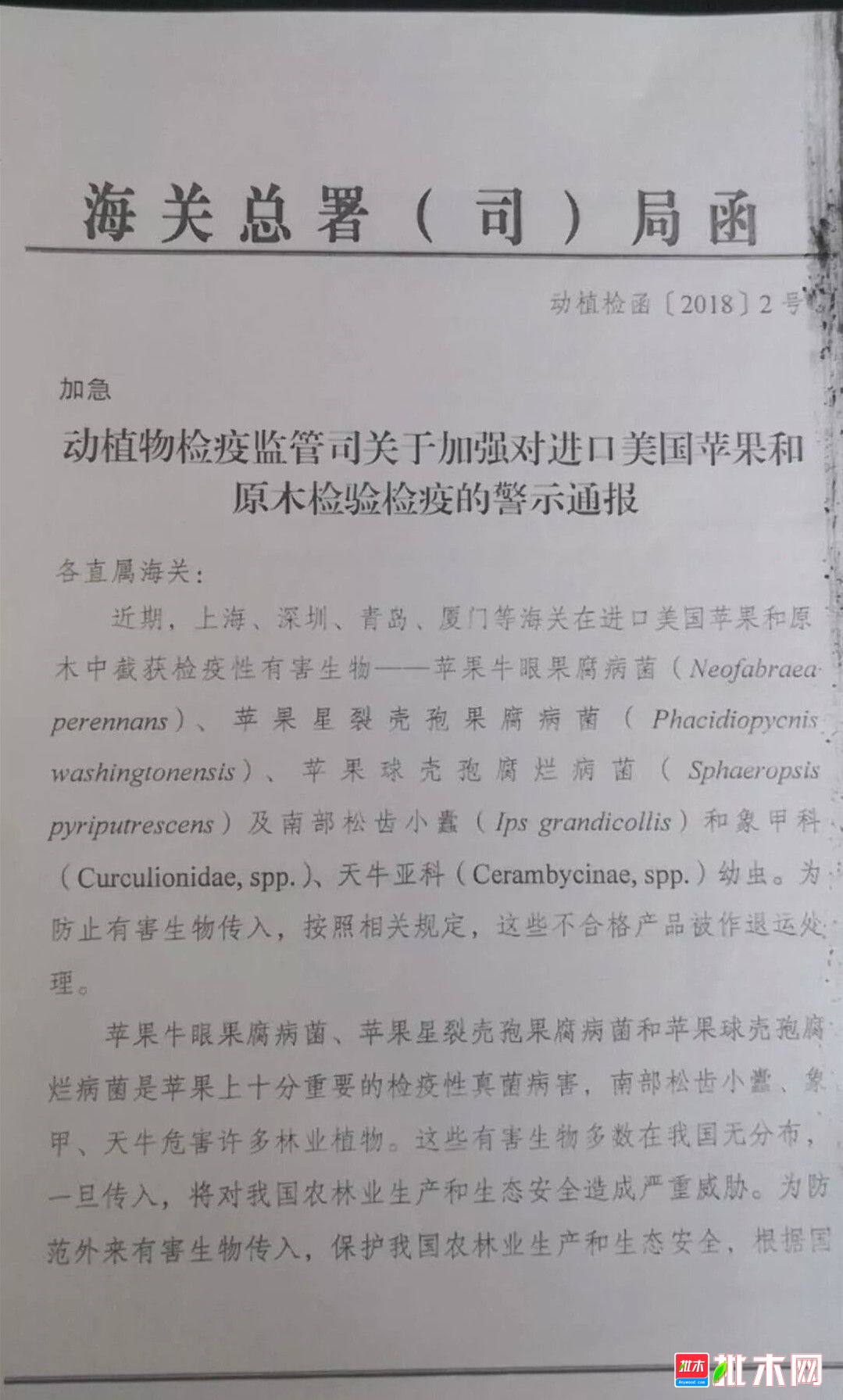 批木网anywood.com
