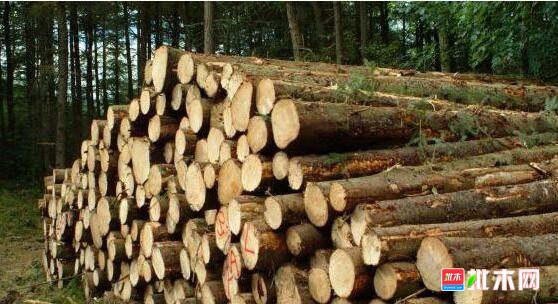 批木网anywood.com