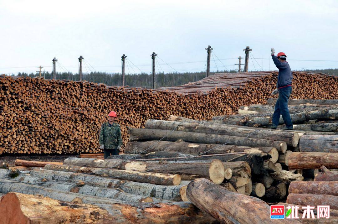 批木网anywood.com