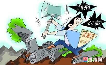 批木网anywood.com