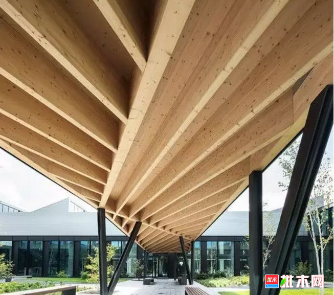 批木网 anywood.com