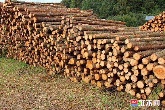 批木网 anywood.com