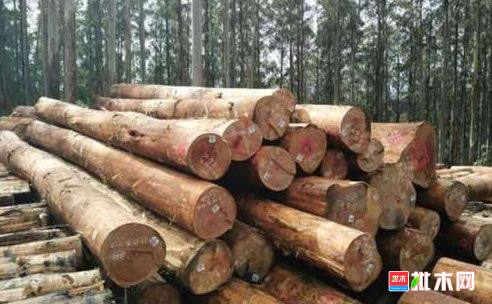 批木网anywood.com