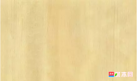 批木网 anywood.com
