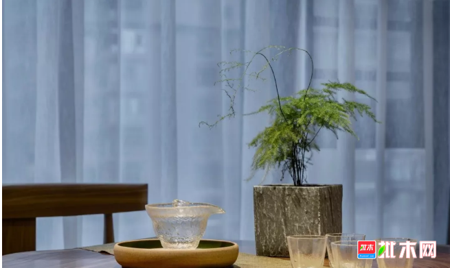 批木网 anywood.com
