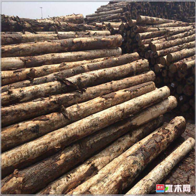 批木网anywood.com