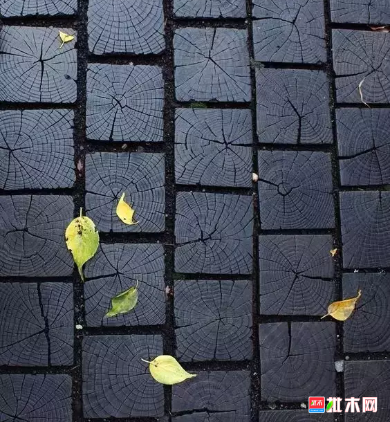 批木网 anywood.com