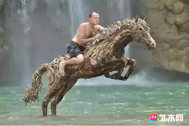 批木网 anywood.com