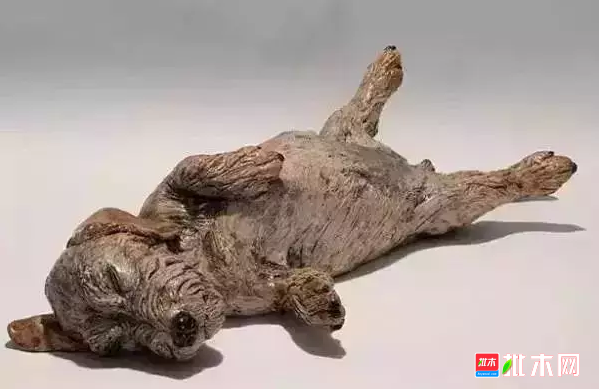 批木网 anywood.com