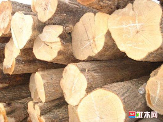 批木网 anywood.com