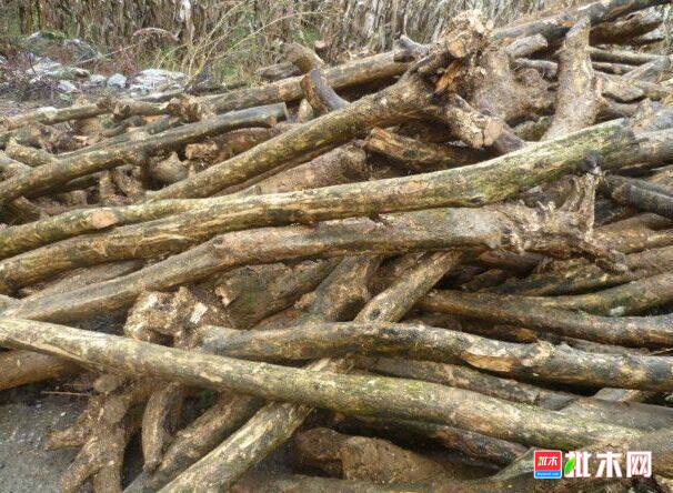 批木网anywood.com