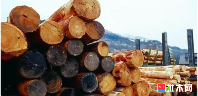 批木网 anywood.com