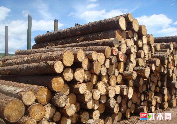 批木网 anywood.com