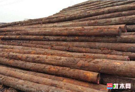 批木网 anywood.com