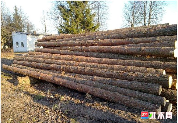 批木网 anywood.com